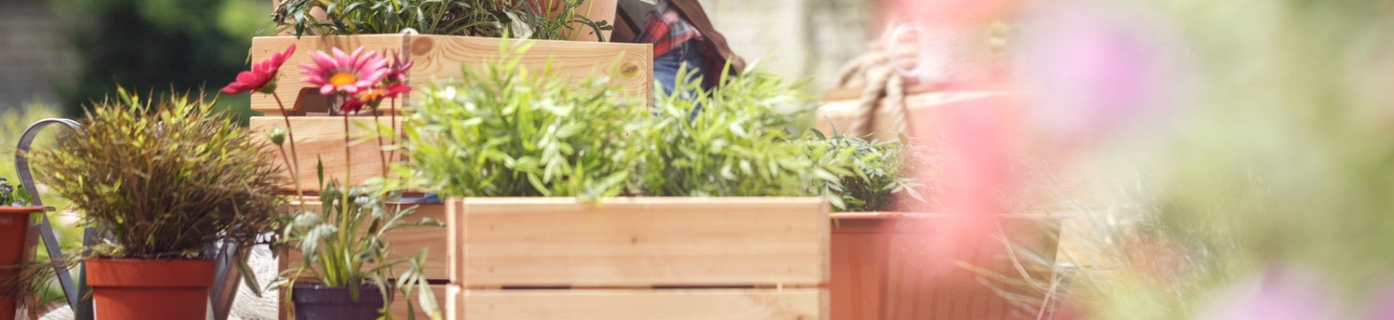 Projet d’achat immobilier : à quoi sert le cadastre ?